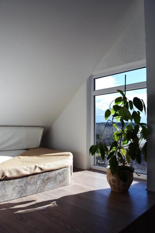 Jurgis Guest House Kaunas Ngoại thất bức ảnh